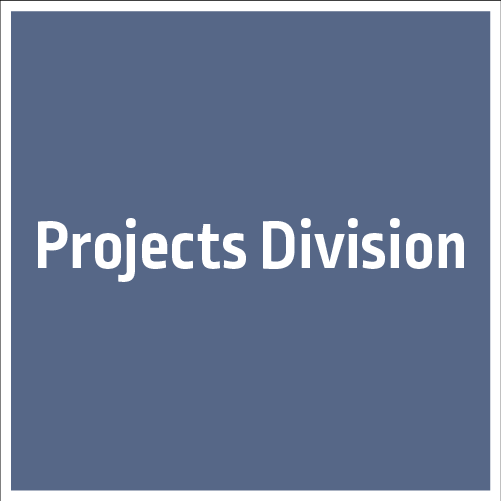 project-division