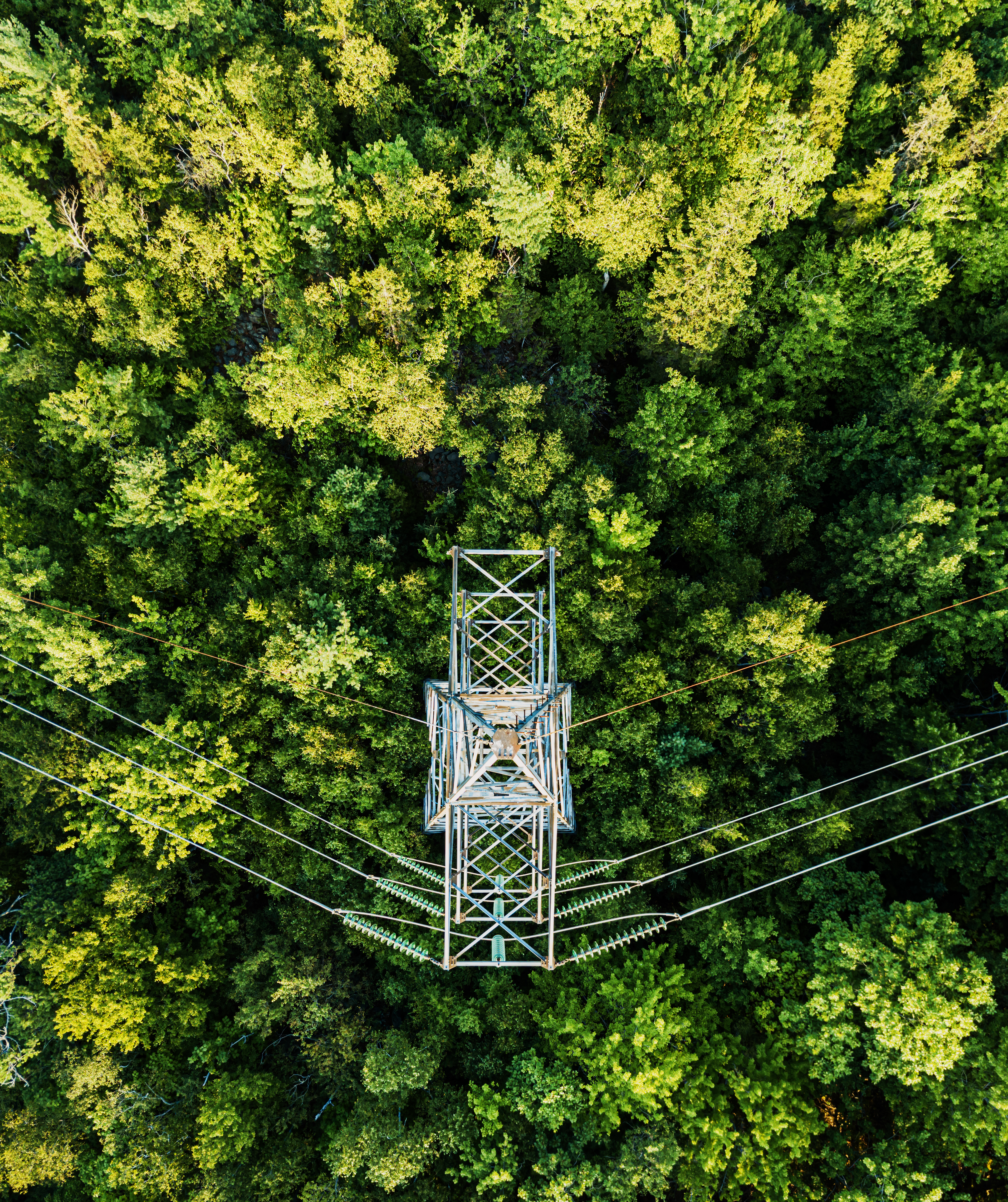hydrogen-power-grid-nature