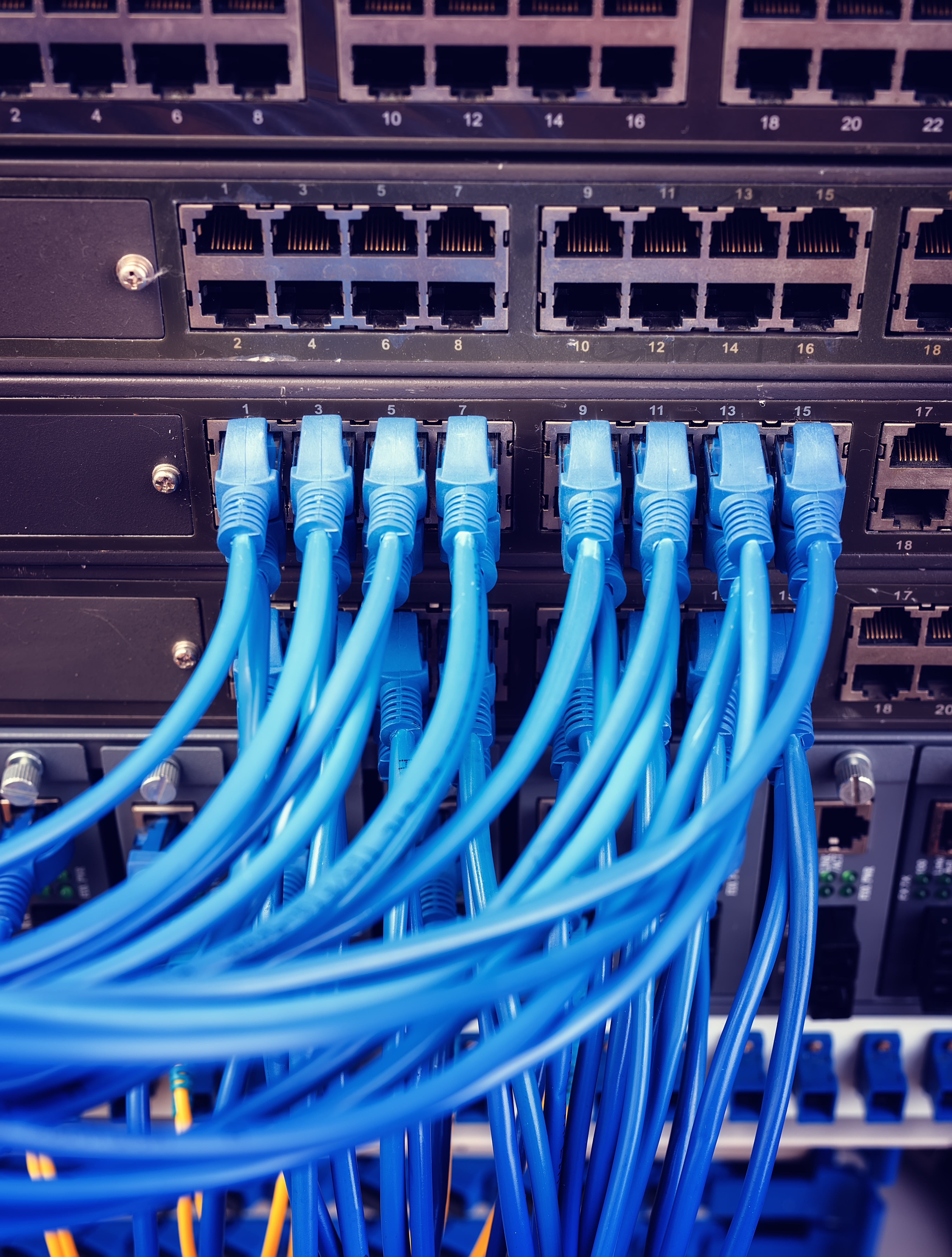 Data Cable vertical 