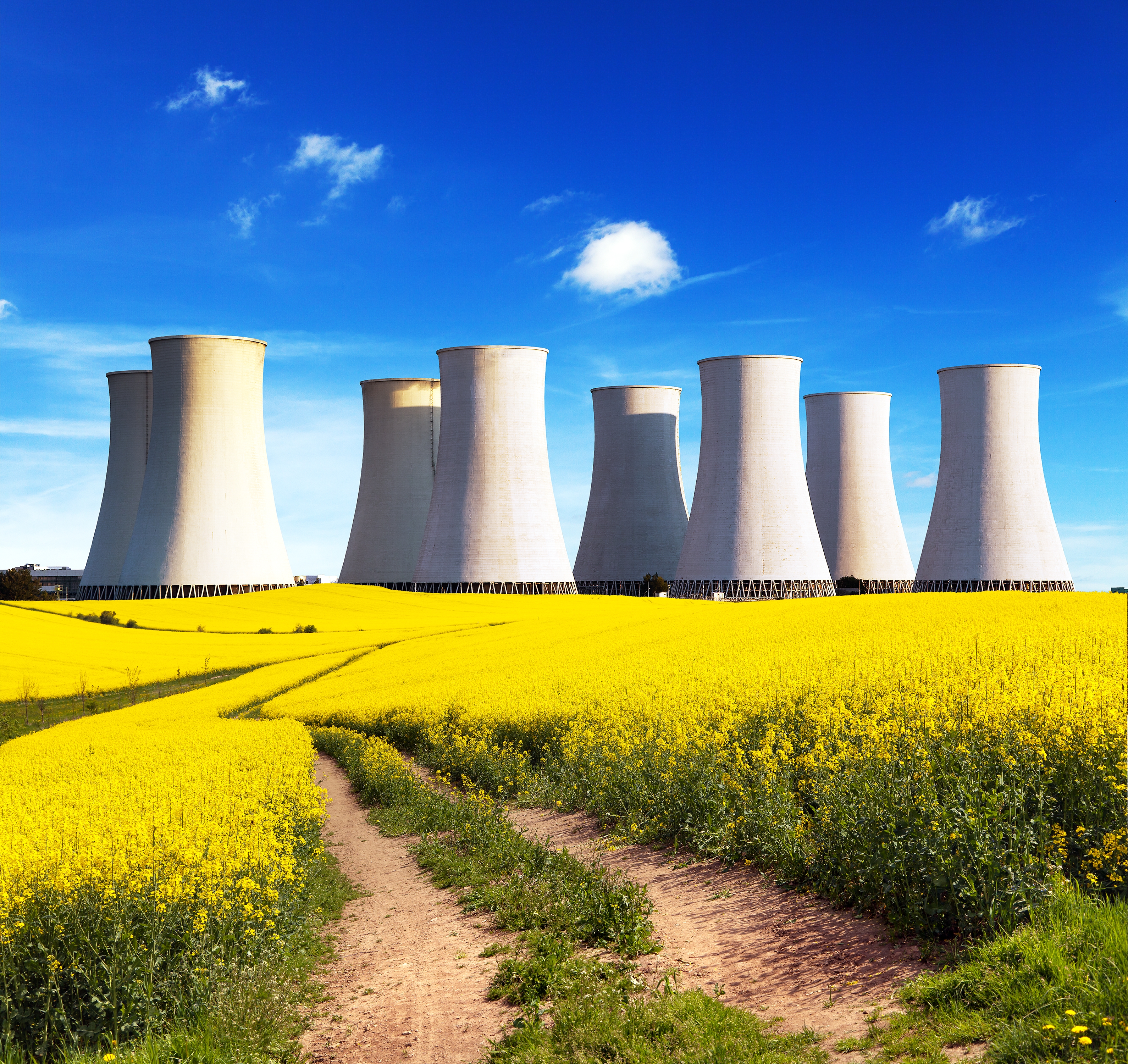 Nuclear Plant Landscape 3 