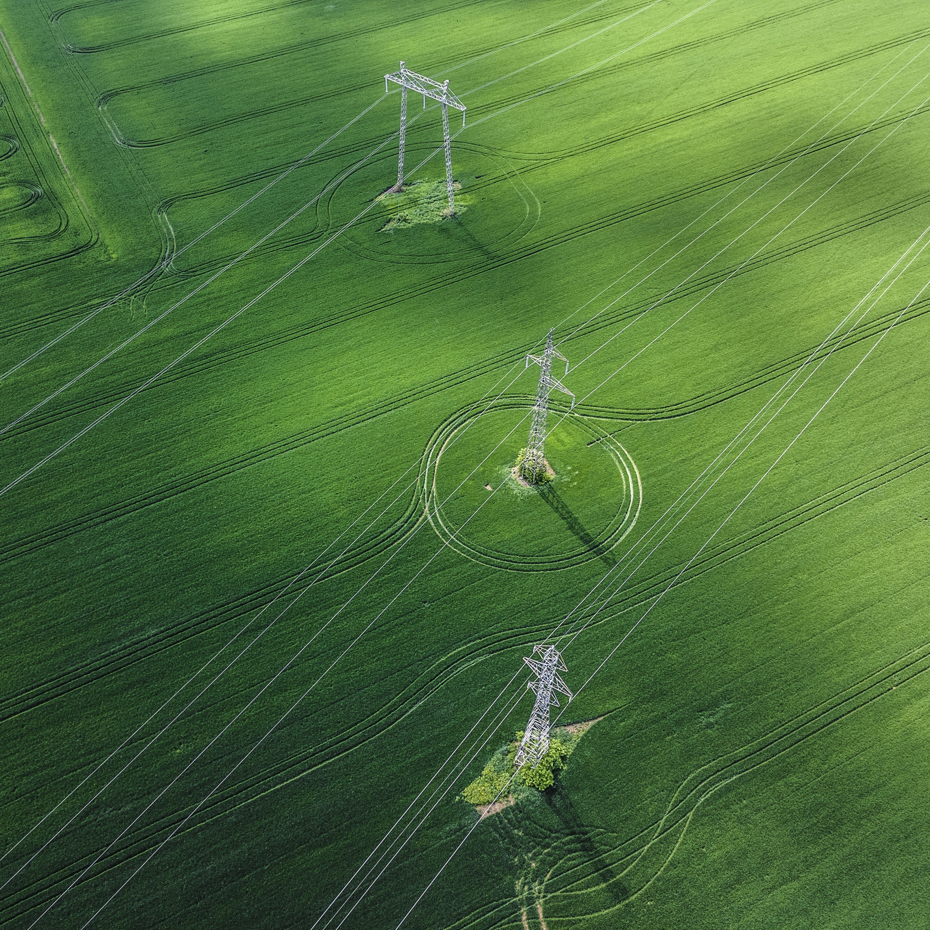 Power Lines Field - square