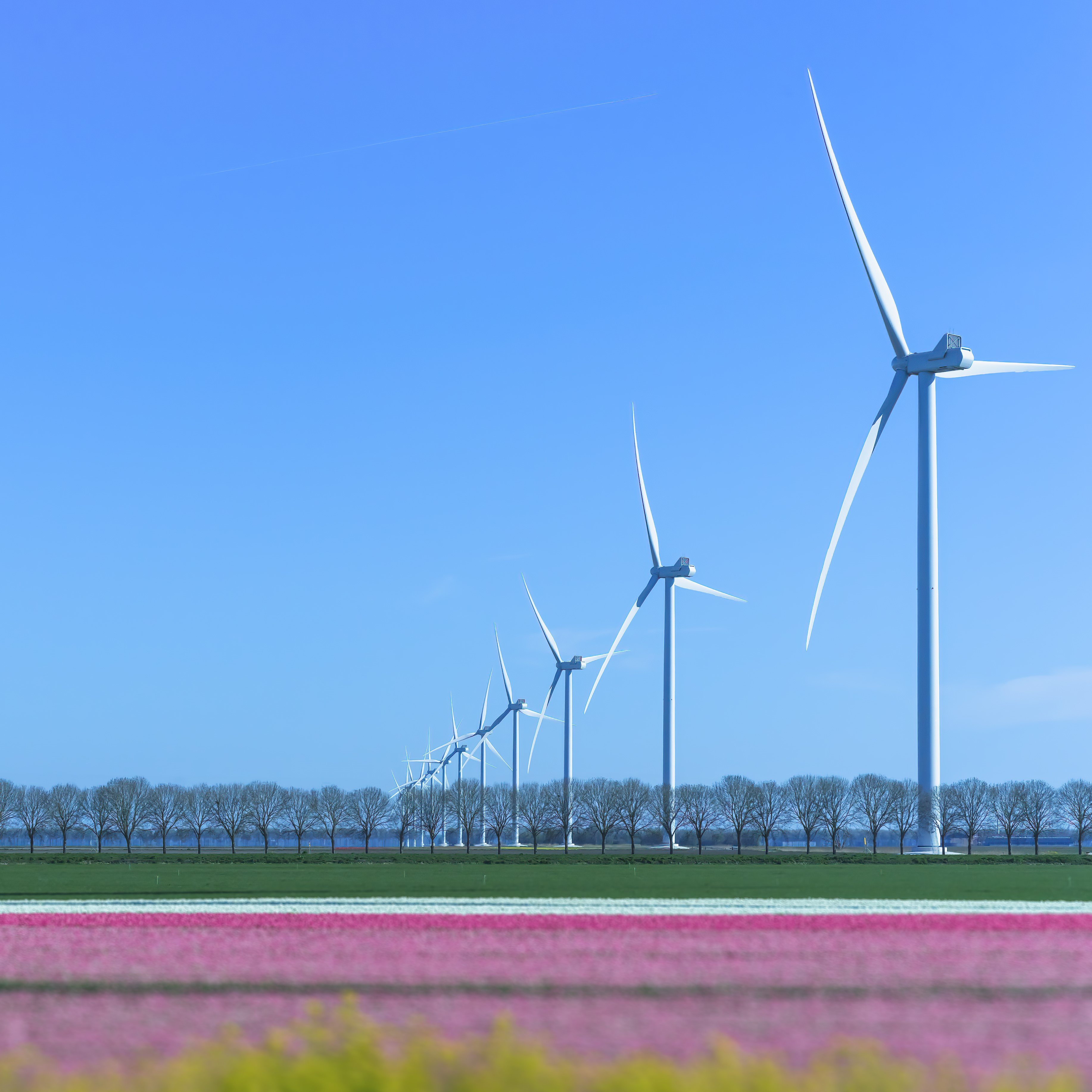 Wind Turbines Netherlands 2 - square