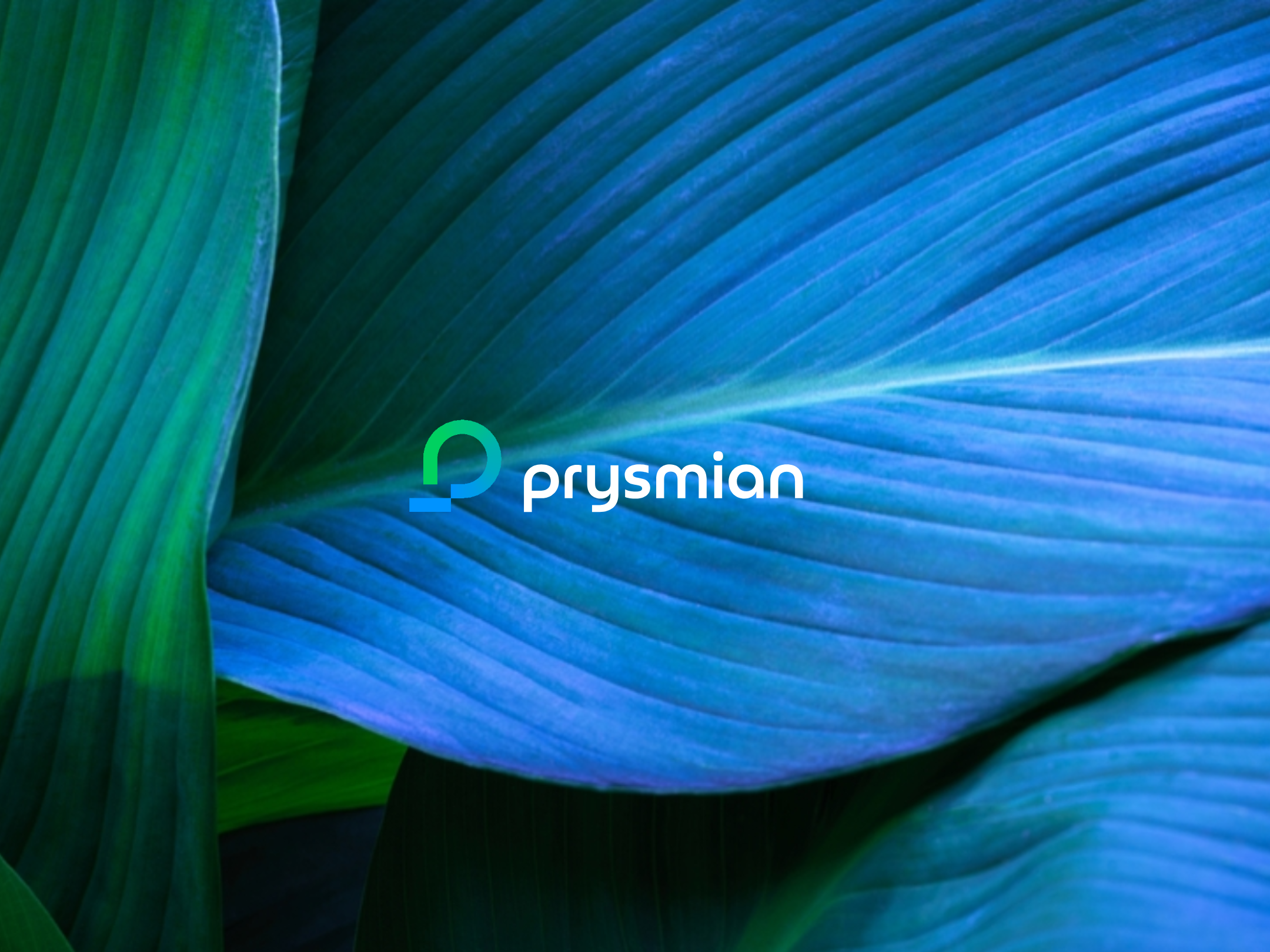 Empowering the nuclear industry