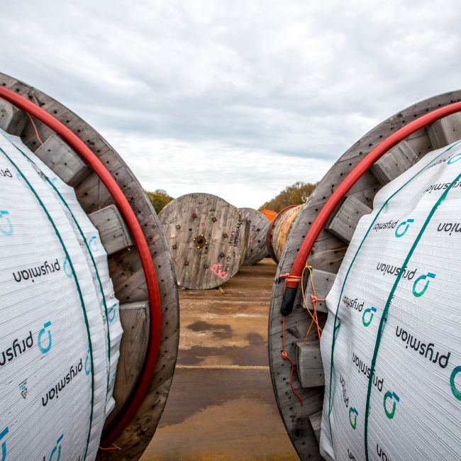 rendo project p laser